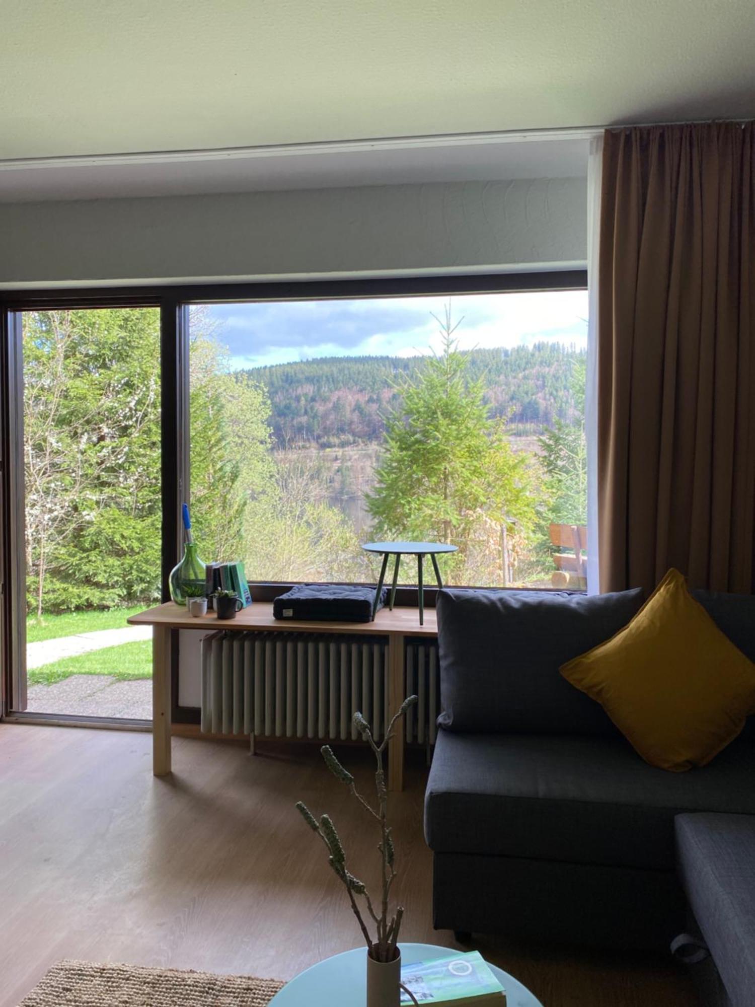 Black Forest Apartments Titisee Buitenkant foto