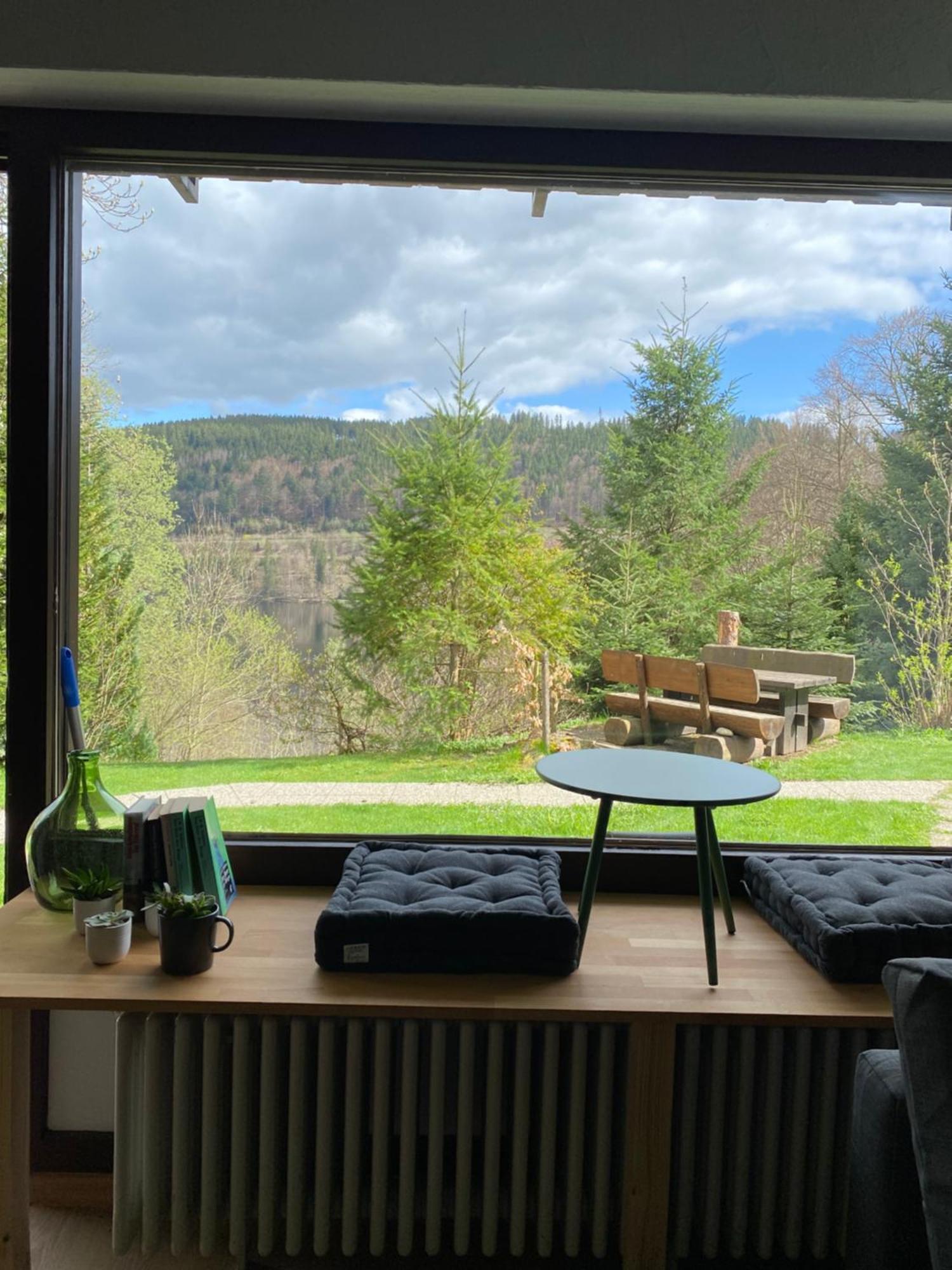 Black Forest Apartments Titisee Buitenkant foto