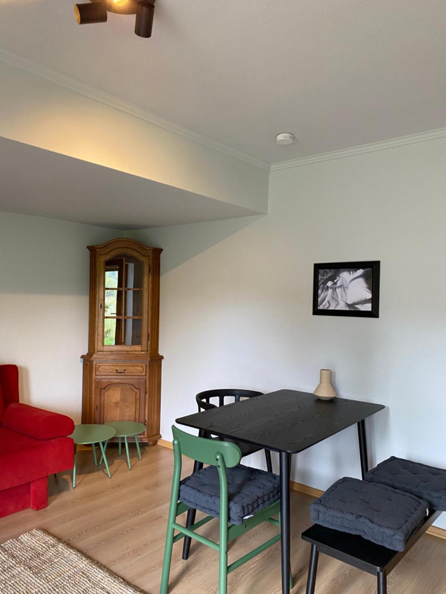 Black Forest Apartments Titisee Buitenkant foto