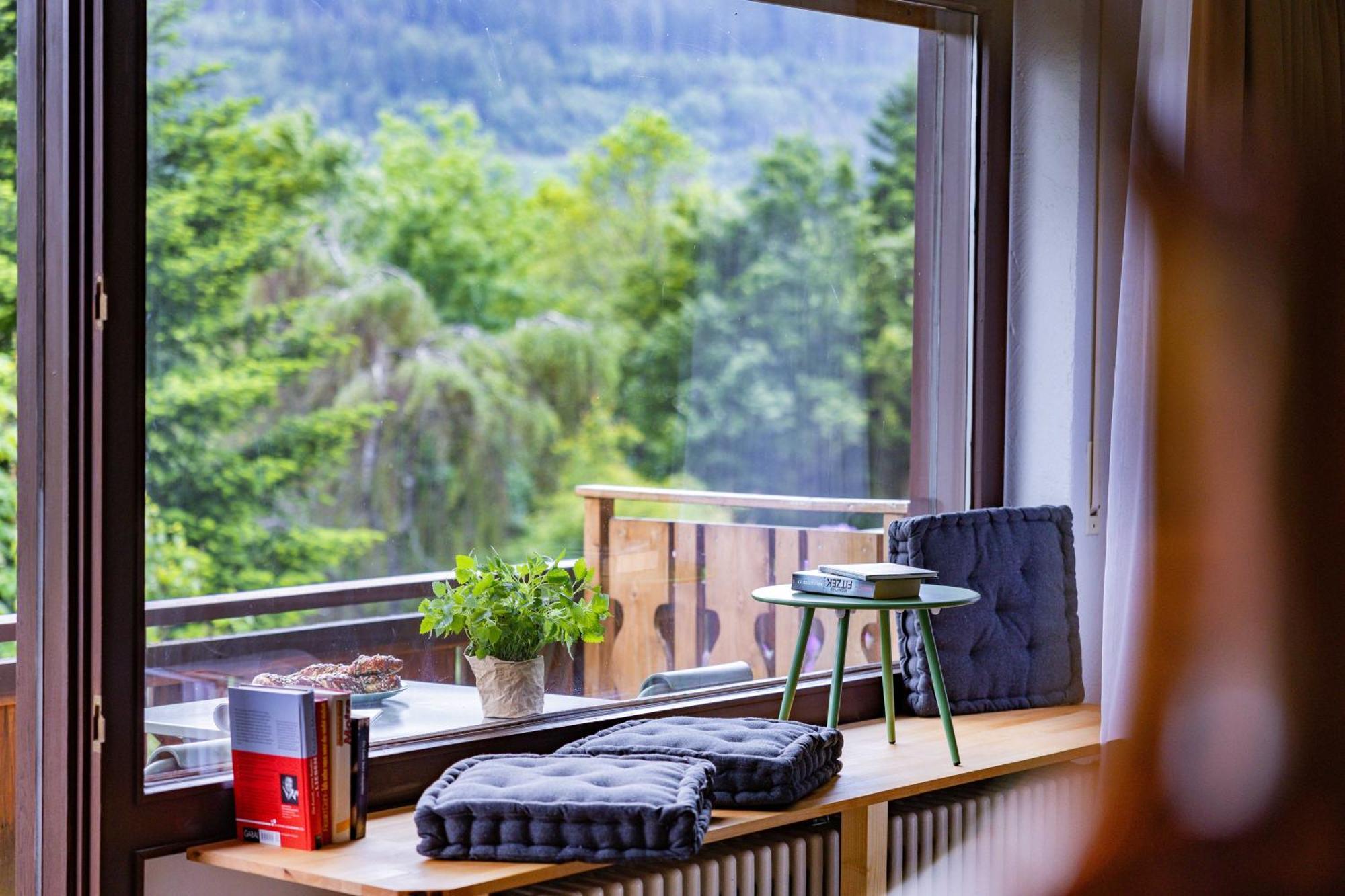 Black Forest Apartments Titisee Buitenkant foto