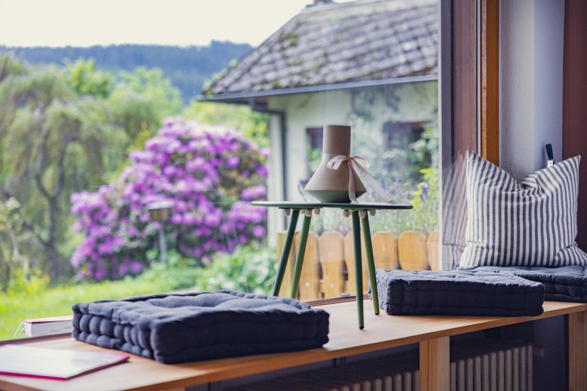 Black Forest Apartments Titisee Buitenkant foto