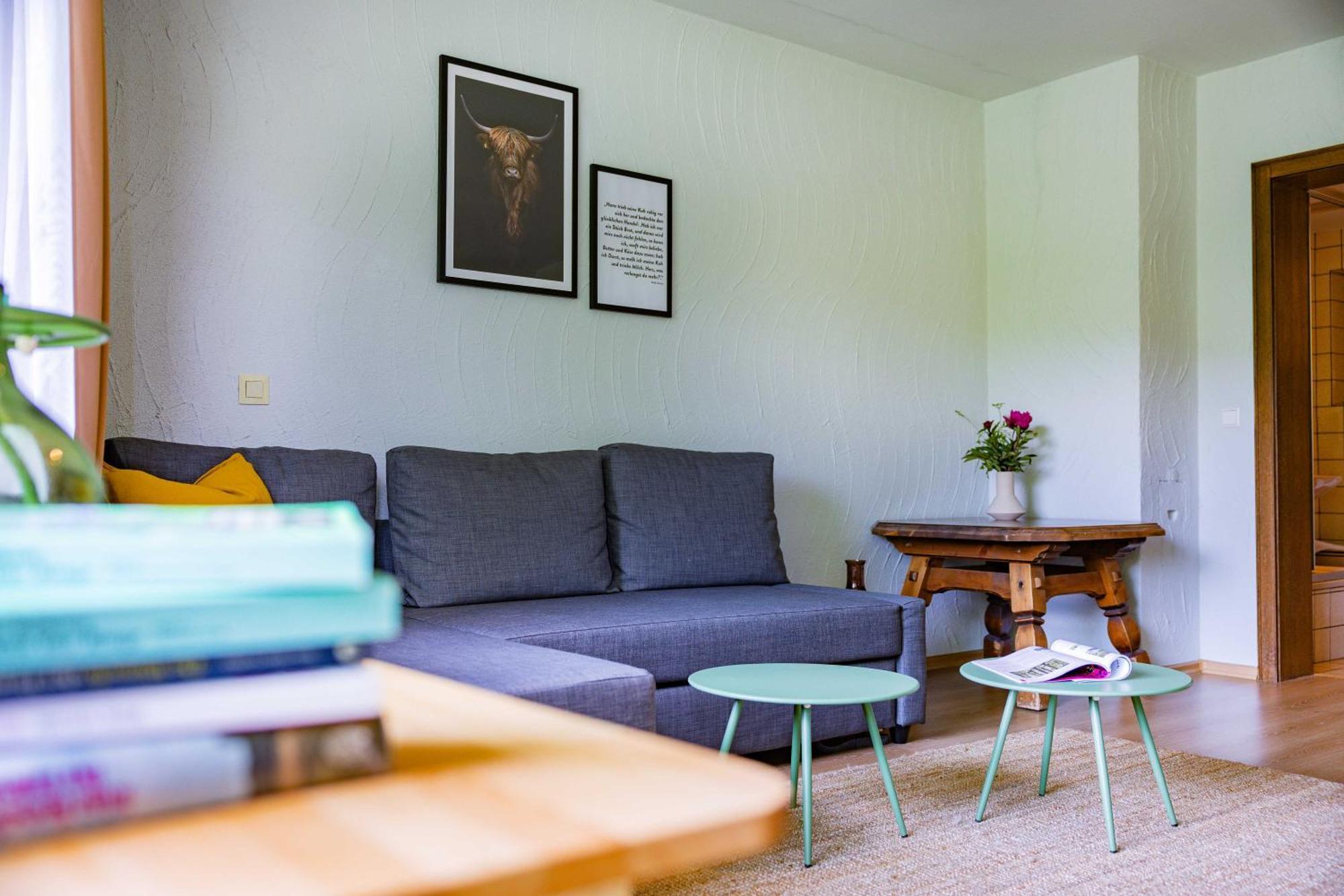 Black Forest Apartments Titisee Buitenkant foto